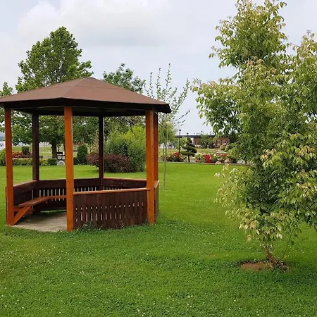 дани * Obzor